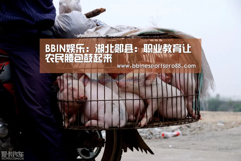 BBIN娱乐:湖北郧县:职业教育让农民腰包鼓起来(图1) BBIN平台