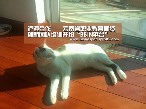 沪滇合作——云南省职业教育师资创新团队培训开班“BBIN平台”(图1) BBIN平台