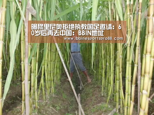 BBIN地址