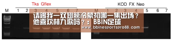请赐我一双翅膀冷蒙初哪一集出场?他喜欢林九歌吗?:BBIN足球(图2) BBIN平台